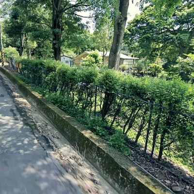 青山美景No.1