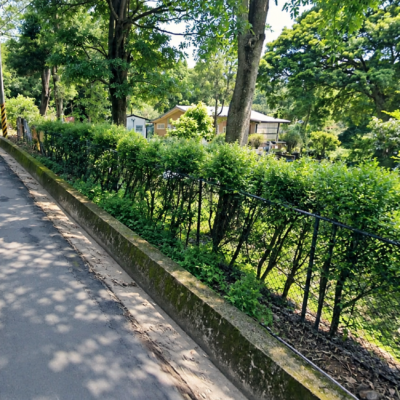 青山美景No.1