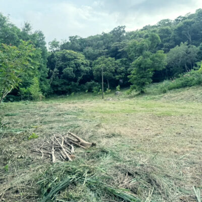 青山美景No.2