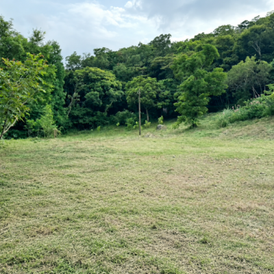 青山美景No.2