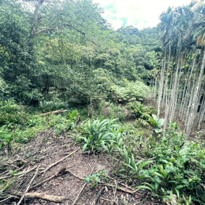 青山美景No.3